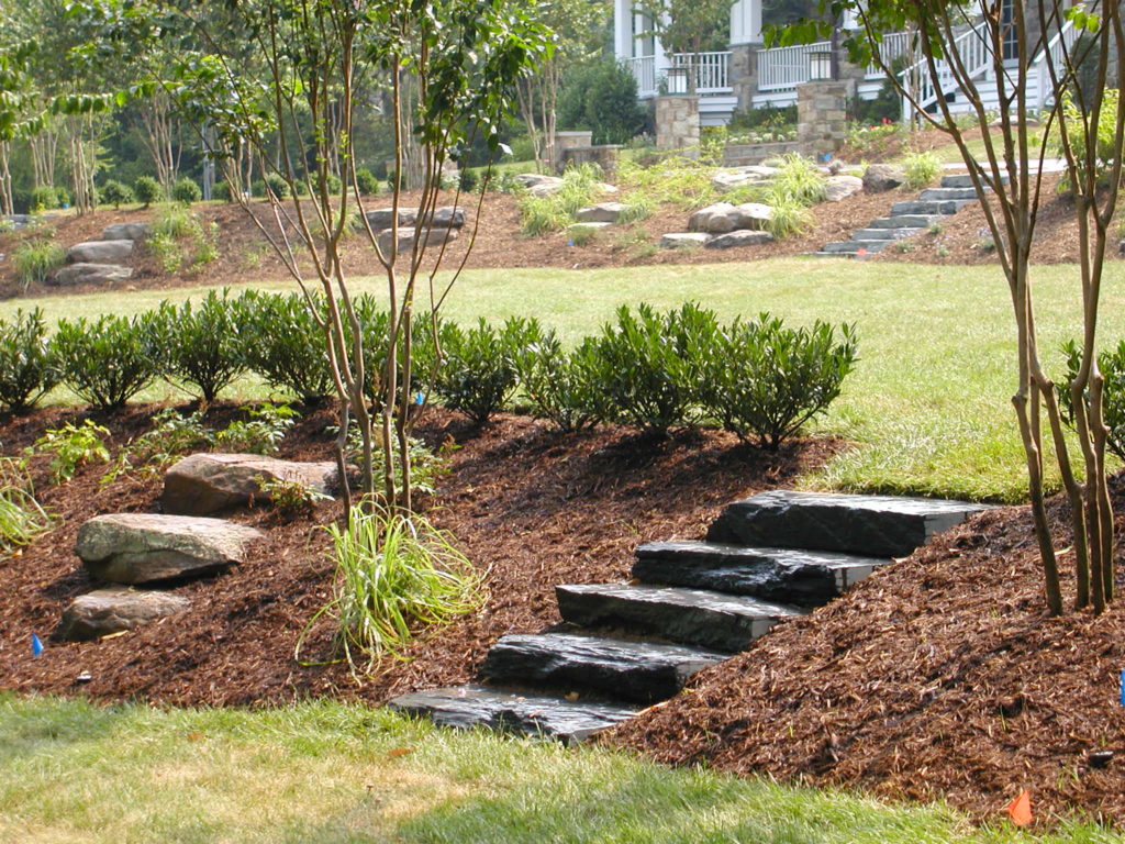Mulch surrounding trees and steps