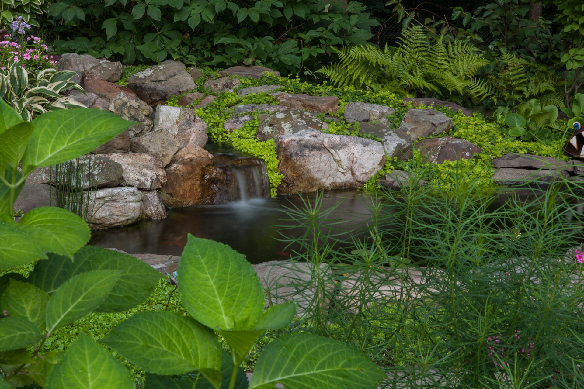 Backyard with Pool, Waterfall Feature, and Landscaped Area