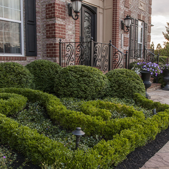 A well-maintained front yard featuring a hedge and shrubs, creating a picturesque and inviting ambiance.