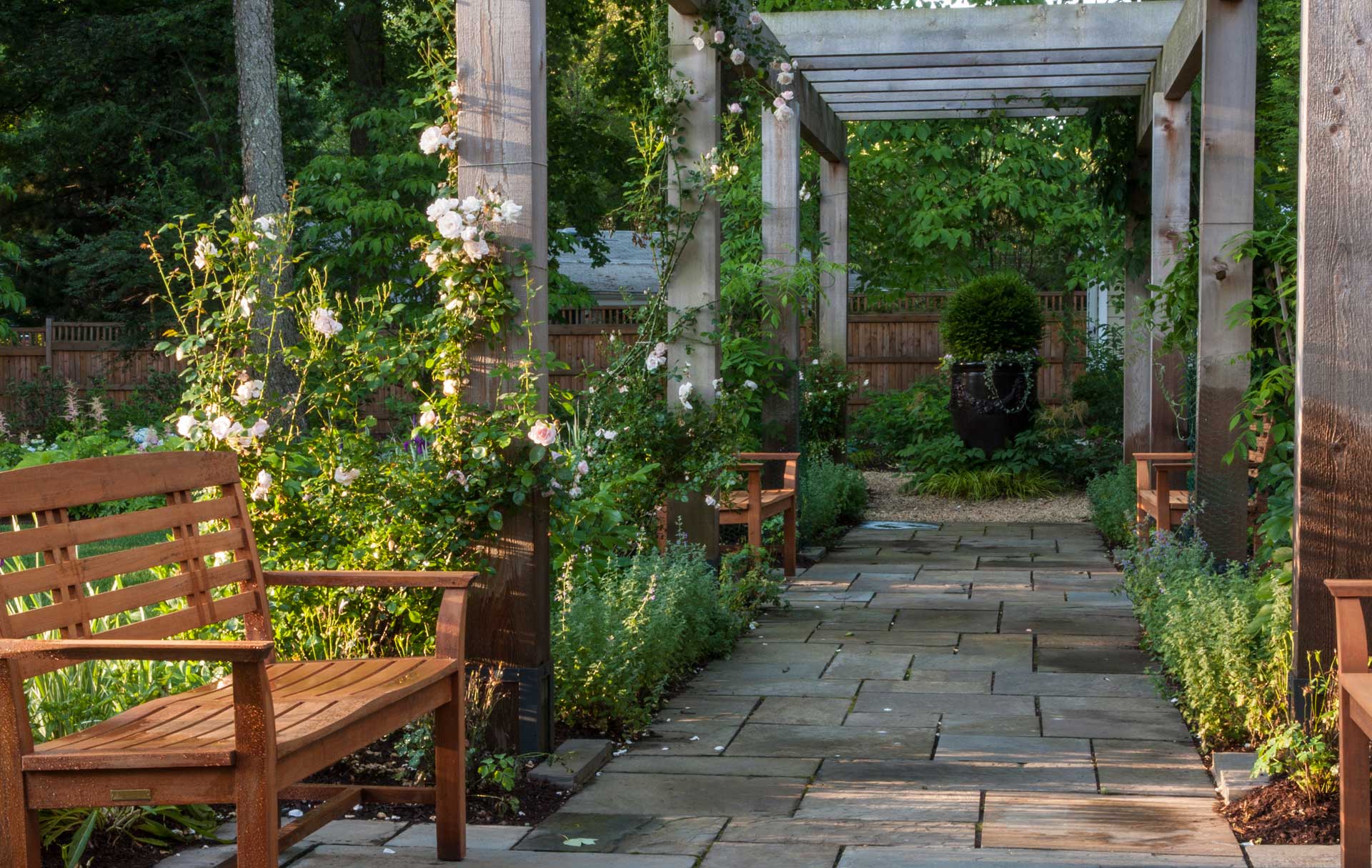 A serene garden with wooden benches and a beautiful pergola providing shade and a peaceful atmosphere.