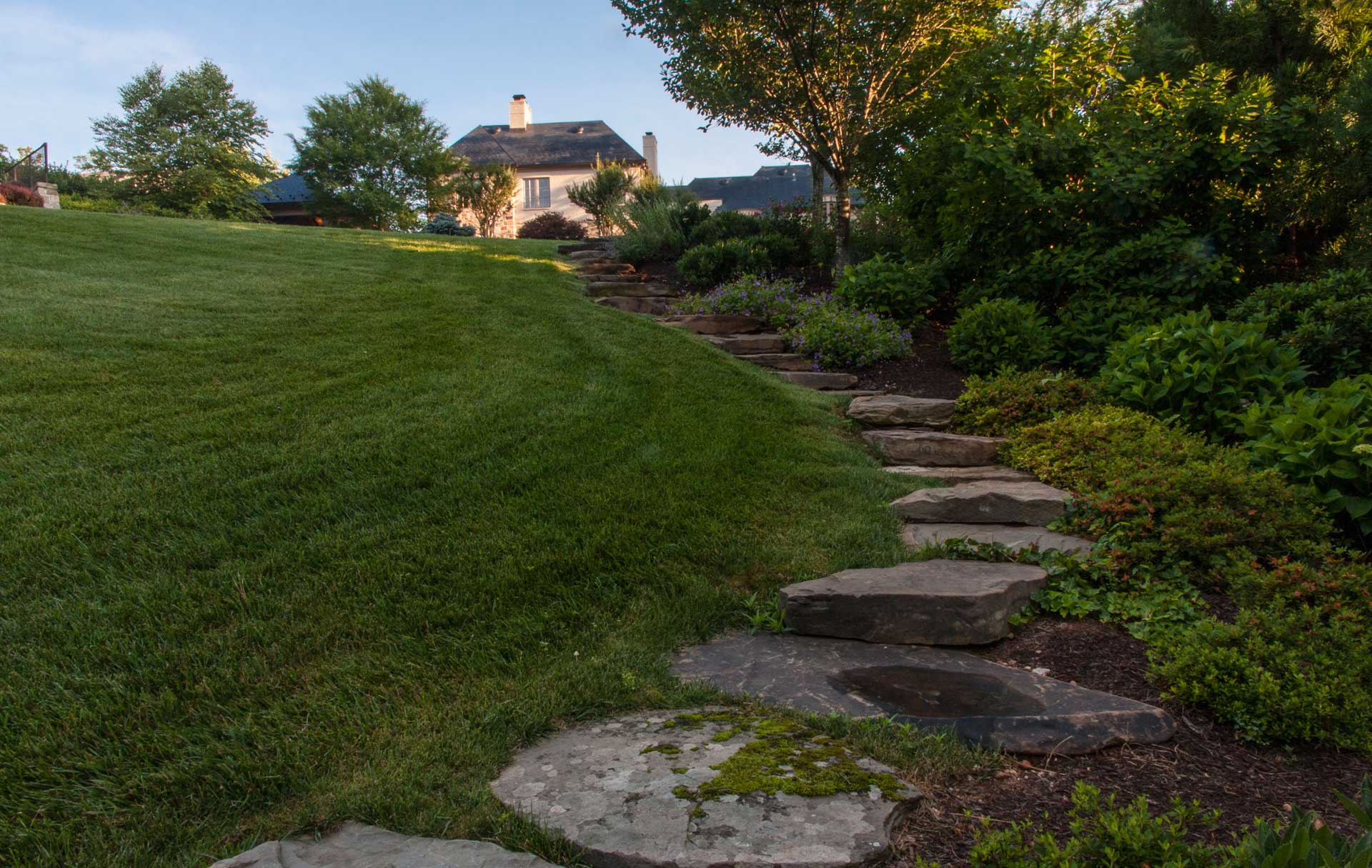 A stone path amongst freshly cut grass leading to a house in the backyard.