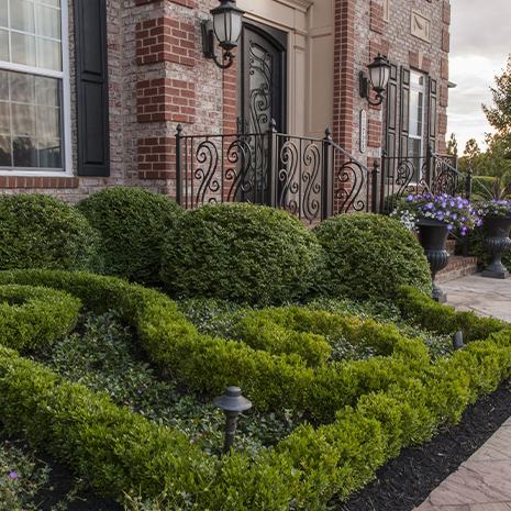 A well-maintained front yard featuring a hedge and shrubs, creating a picturesque and inviting ambiance.