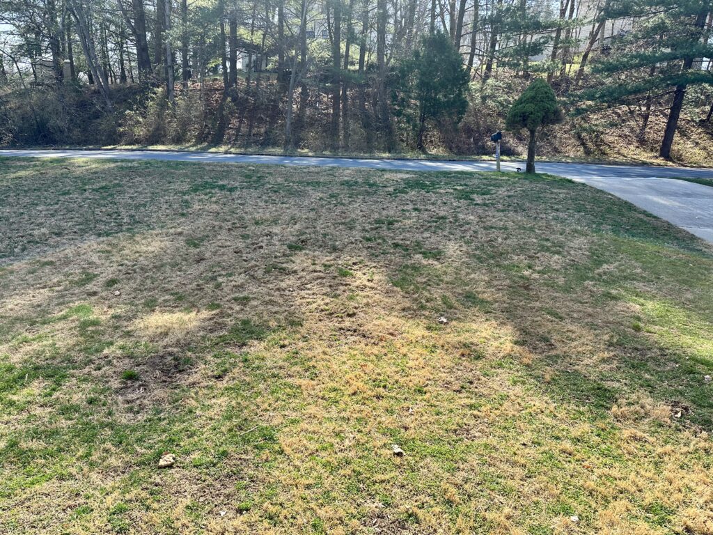 large yard with dead grass