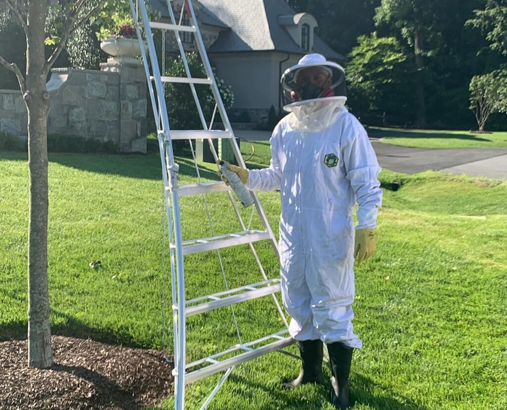 Wheat's bee control technician with ladder by a tree