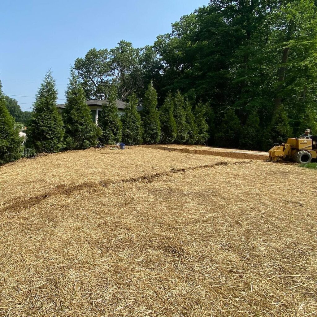 Large field before sportscape installation