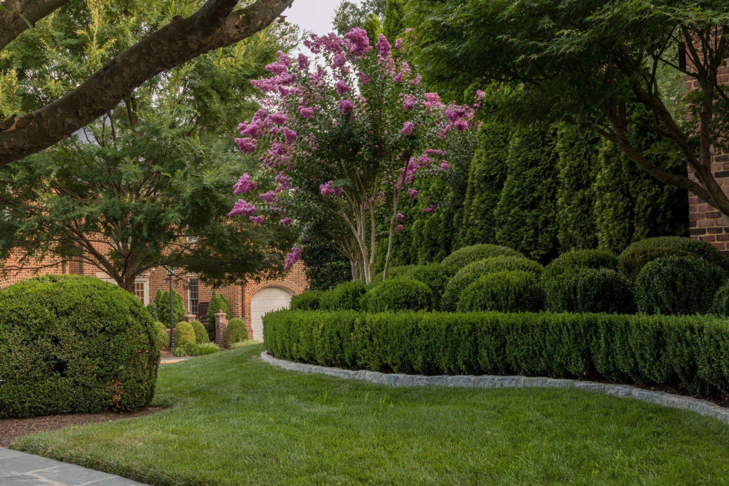 Green lawn with clean edging