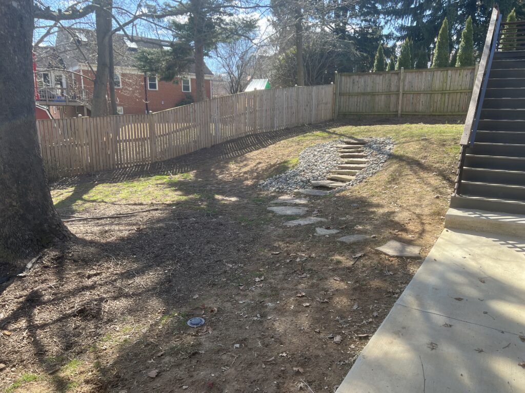 A yard with sparse grass